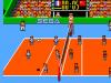 Great Volleyball - Master System