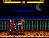 Street Fighter II ' - Master System