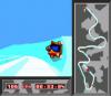 Winter Olympics : Lillehammer '94 - Master System