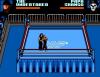 WWF WrestleMania : Steel Cage Challenge - Master System