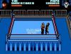 WWF WrestleMania : Steel Cage Challenge - Master System