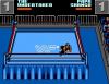 WWF WrestleMania : Steel Cage Challenge - Master System