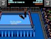 WWF WrestleMania : Steel Cage Challenge - Master System