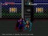 The Death and Return of Superman - Master System