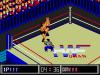 Thunder Pro Wrestling Retsuden - Master System