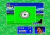 Top Pro Golf 2  - Master System