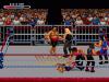 WWF RAW - Master System