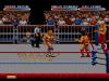 WWF RAW - Master System