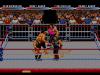 WWF RAW - Master System