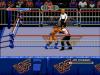 WWF Royal Rumble - Master System