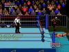 WWF Super WrestleMania - Master System