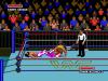 WWF Super WrestleMania - Master System