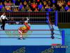 WWF Super WrestleMania - Master System