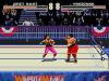 WWF WrestleMania : The Arcade Game - Master System