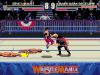 WWF WrestleMania : The Arcade Game - Master System