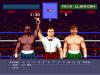 Evander Holyfield's 'Real Deal' Boxing  - Master System