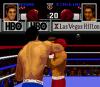 Boxing : Legends of the Ring - Mega Drive - Genesis