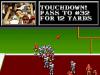 NFL Pro Football ' 94 - Master System