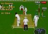 Brian Lara Cricket - Mega Drive - Genesis