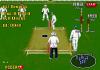 Brian Lara Cricket - Mega Drive - Genesis