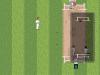 Shane Warne Cricket - Master System