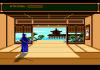 Budokan : The Martial Spirit - Mega Drive - Genesis