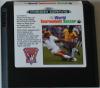 Pele's World Tournament Soccer - Master System