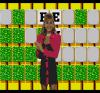 Wheel of Fortune - Mega-CD - Sega CD