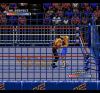 WWF : Rage in the Cage - Mega-CD - Sega CD