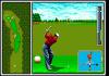 Arnold Palmer Tournament Golf - Mega Drive - Genesis