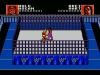 WWF Wrestlemania : Steel Cage Challenge - NES - Famicom