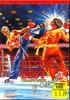 Best Of The Best : Championship Karate - NES - Famicom