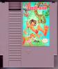 Disney's Jungle Book  - NES - Famicom