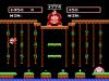 Donkey Kong Jr. : Math - NES - Famicom