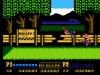 Double Dragon II : The Revenge - NES - Famicom