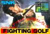 Fighting Golf  - NES - Famicom