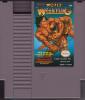 Tecmo World Wrestling - NES - Famicom