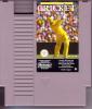 International Cricket - NES - Famicom