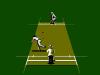 International Cricket - NES - Famicom