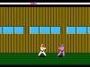 Karateka - NES - Famicom