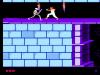 Prince Of Persia - NES - Famicom