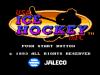 USA Ice Hockey In FC - NES - Famicom