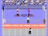 Pro Wrestling - NES - Famicom