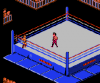 WWF  - NES - Famicom