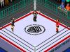 Wrestle Universe : Fire Pro Joshi - Doumu Choujo Taisen - Zenjo Vs JWP - PC-Engine CD Rom