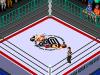 Wrestle Universe : Fire Pro Joshi - Doumu Choujo Taisen - Zenjo Vs JWP - PC-Engine CD Rom