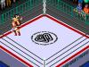 Wrestle Universe : Fire Pro Joshi - Doumu Choujo Taisen - Zenjo Vs JWP - PC-Engine CD Rom