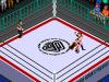 Wrestle Universe : Fire Pro Joshi - Doumu Choujo Taisen - Zenjo Vs JWP - PC-Engine CD Rom