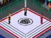 Wrestle Universe : Fire Pro Joshi - Doumu Choujo Taisen - Zenjo Vs JWP - PC-Engine CD Rom