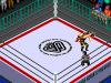 Wrestle Universe : Fire Pro Joshi - Doumu Choujo Taisen - Zenjo Vs JWP - PC-Engine CD Rom